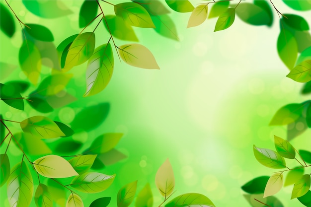 Vector realistic green leaves background