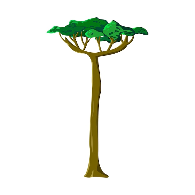 Vector realistic green old tall tree isolated on white background - vector illustration