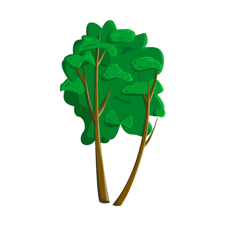Vector realistic green palm isolated on white background - vector illustration
