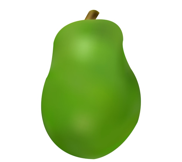 現実的な緑のパパヤのベクトルイラスト