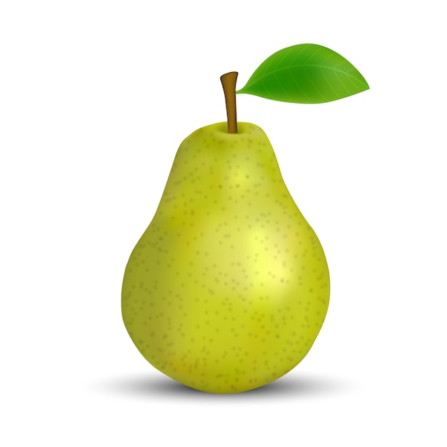 Vector realistic green pear isolated