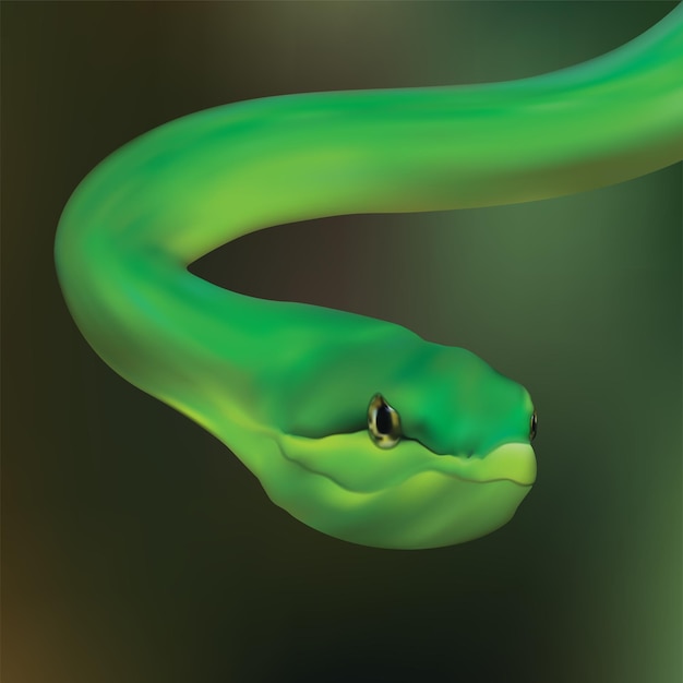 Vettore illustrazione realistica del serpente verde