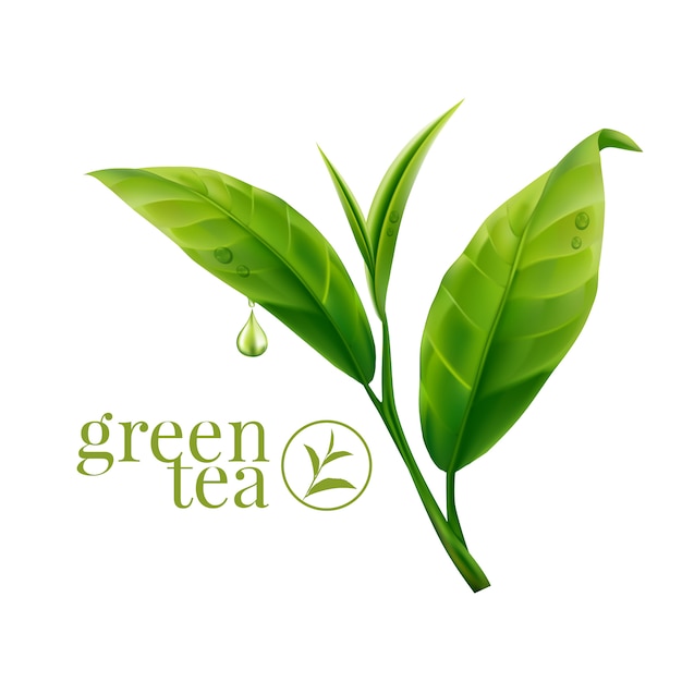 Realistic green tea leaves background