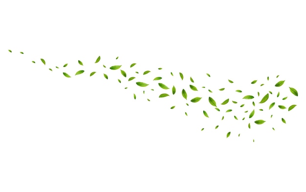 Realistic green tea leaves in motion on a white background Background with flying green spring leaves Organic eco vegan design Vector illustration