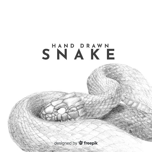 Vector realistic hand drawn colorless snake background