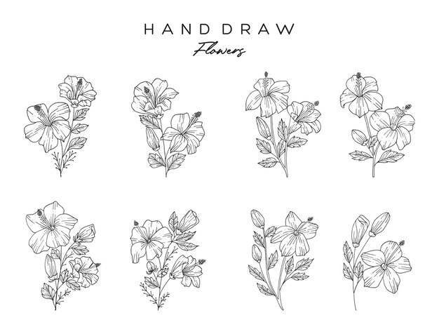 Vector realistic hand drawn flowers and leaves. hibiscus flowers are made with natural hand drawings