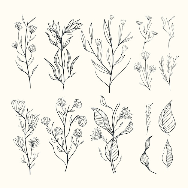 Realistic hand drawn herbs & wild flowers