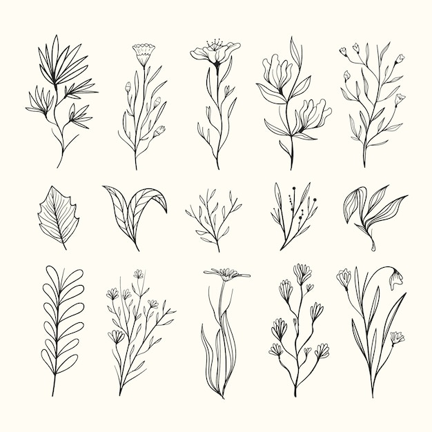 Vector realistic hand drawn herbs & wild flowers