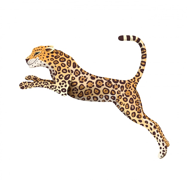 Realistic hand drawn Jaguar jump isolated cartoon. Exotic jungle and rainforest symbol big wild cat panther illustration. Isolated animal clipart.