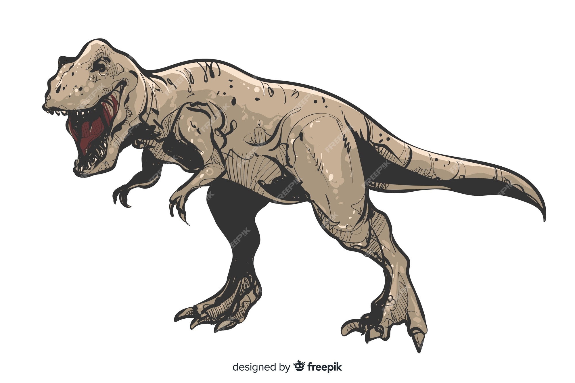 Editable vector hand drawing illustration of Tyranosaurus Rex or T