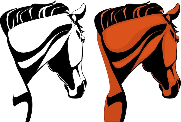 Vector realistic horse head illustration