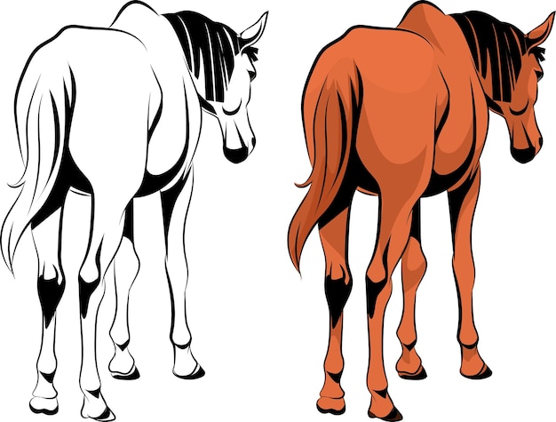 Realistic horse standing illustration