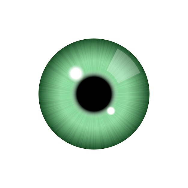 Vector realistic human eye