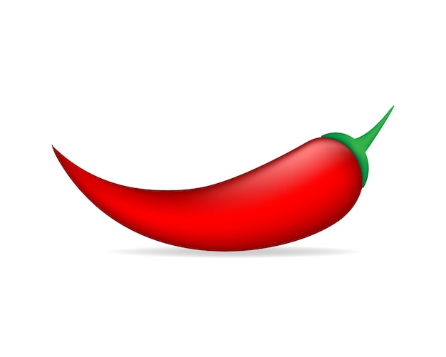 Realistic icon with red pepper on white background Vector logo illustration Realistic vector design