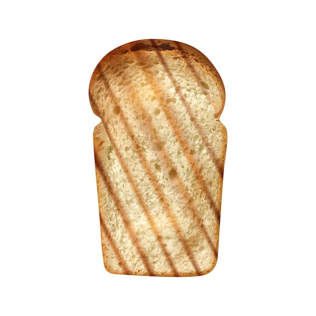 Vector realistic icon with slice of grilled bread vector illustration