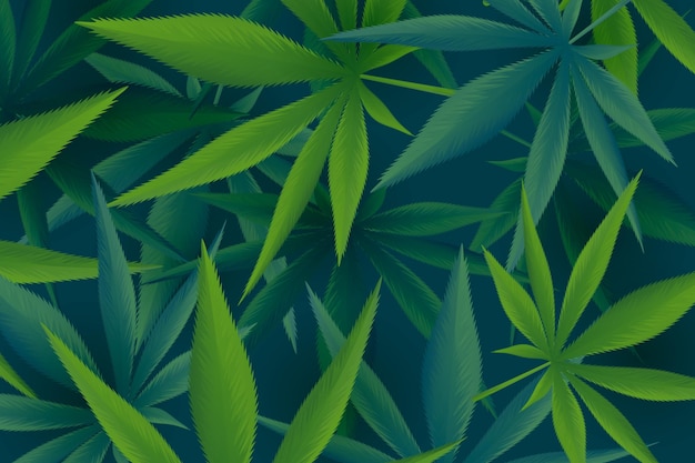 リアルなイラスト大麻の葉の背景