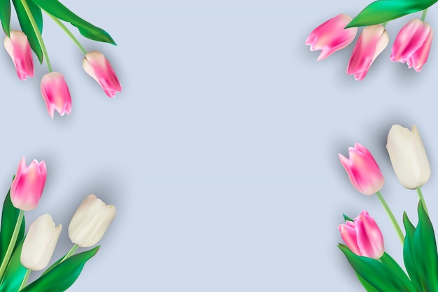 Realistic  Illustration Colorful Tulips Background