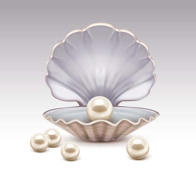 Vettore illustrazione realistica della conchiglia aperta con perle beige madreperla all'interno e intorno isolato su sfondo grigio sfumato