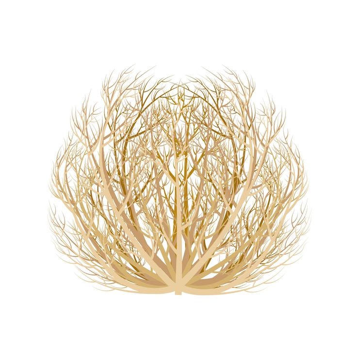 Vector realistic image of tumbleweed dry plant vector illustration isolated on a white background.
