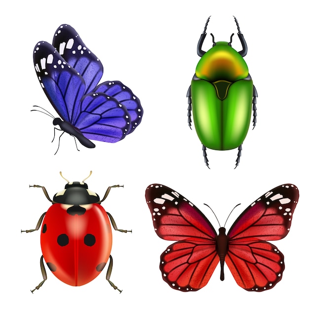 Insetti realistici. accumulazione della formica della coccinella degli insetti della farfalla degli insetti colorati. illustrazione coccinella e maggiolino, coccinella natura