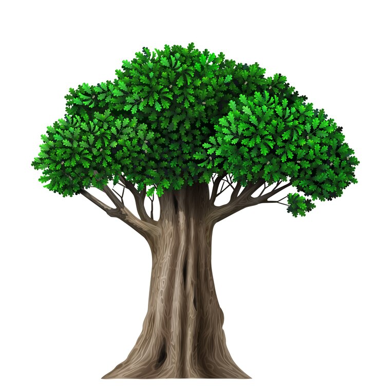 Vector realistic isolate fairy with leaves. plant with green foliage. forest nature and ecology