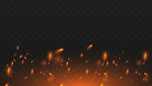 Vector realistic isolated fire effect for decoration