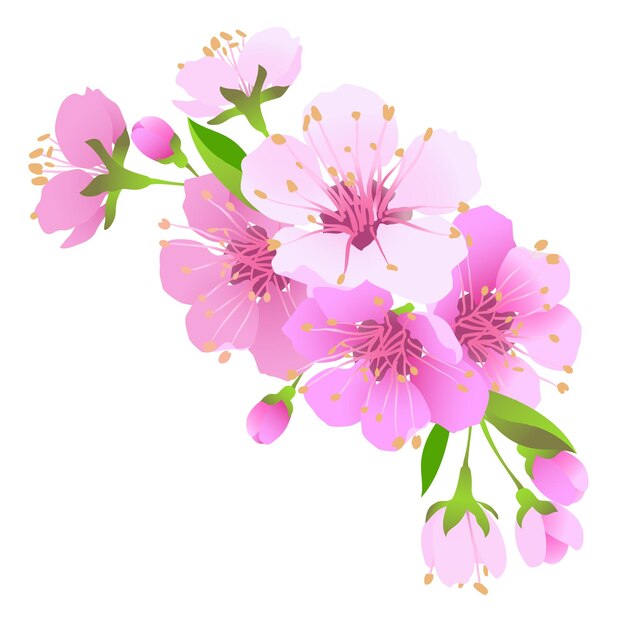 Реалистичная японская вишня сакура с розовыми цветами Векторная иллюстрация веселых цветов Композиция для поздравительной карточки на День матери или приглашения на свадьбу Фестиваль Ханами в Японии