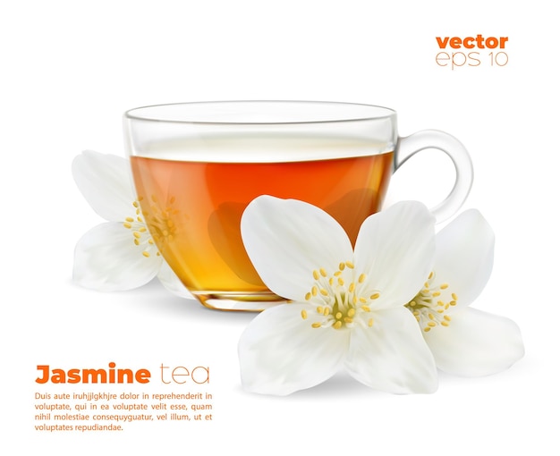 Realistic jasmine tea cup flower of flavor drink