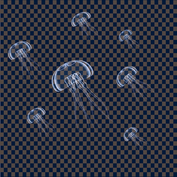 Vector realistic jellyfishes isolated on background