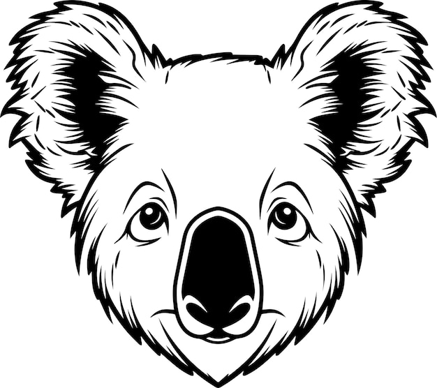 Realistic koala head koala vector illustration