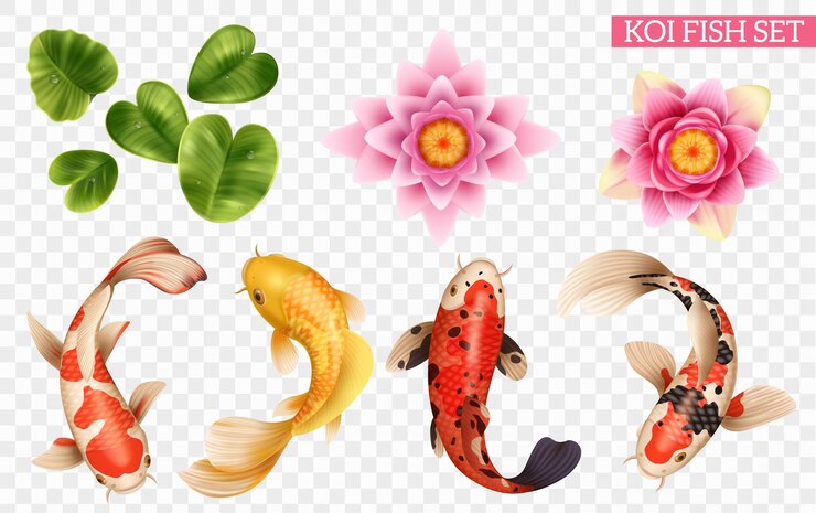 Vector 투명한 배경 벡터 삽화에 이국적인 물고기와 호수 식물의 고립된 아이콘이 있는 현실적인 잉어 물고기