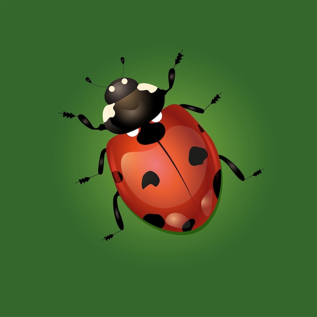 realistic ladybug illustration with green background