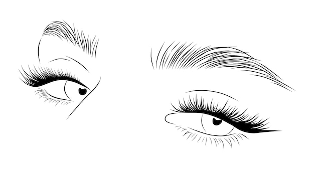Vector realistic lashes on white background female woman eyes and brows icon lamination and extension eyelashes