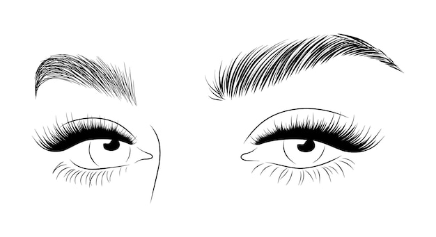 Realistic lashes on white background Lamination and extension eyelashes