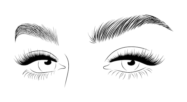 Realistic lashes on white background lamination and extension eyelashes