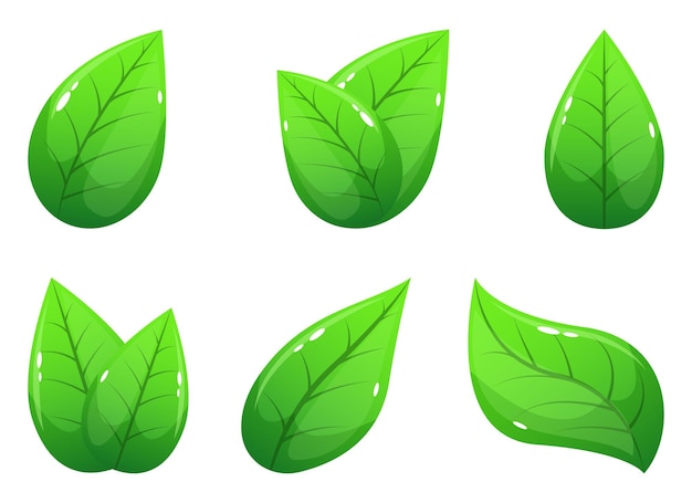 Realistic leaf design illustration isolated