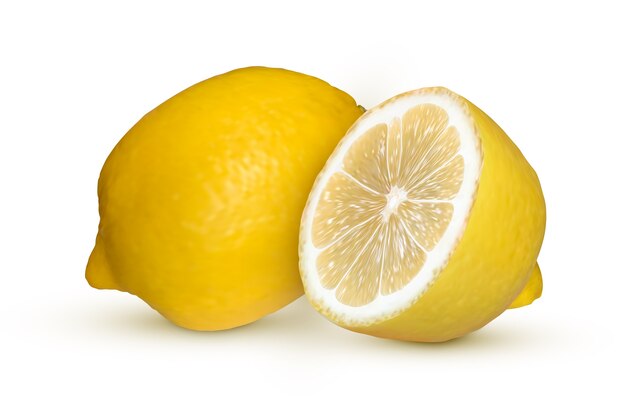 ベクトル 分離されたリアルなレモン
