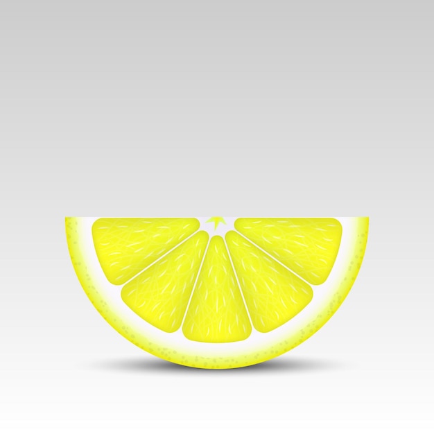 Vector realistic lemon slice