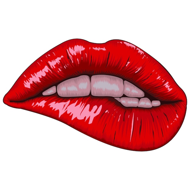 Realistic lips illustration