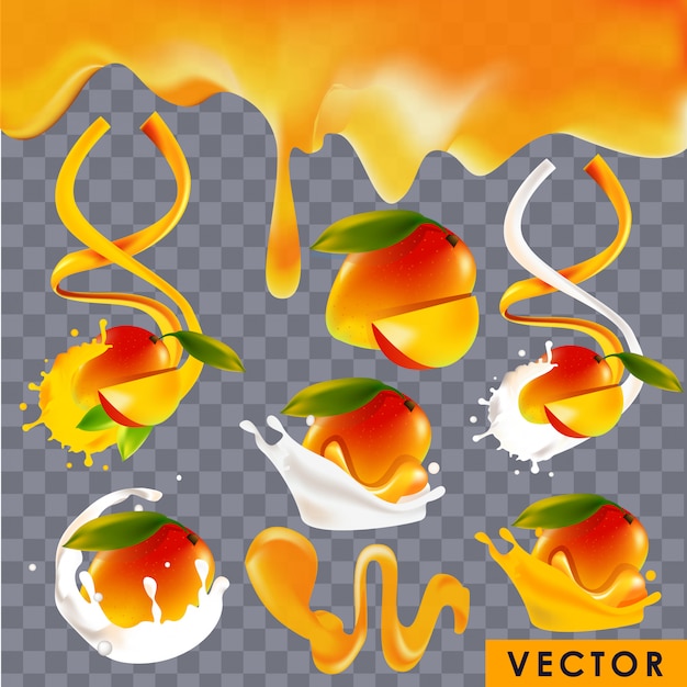 Vector realistic mango flavored products