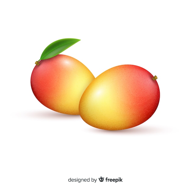 Realistic mango illustration