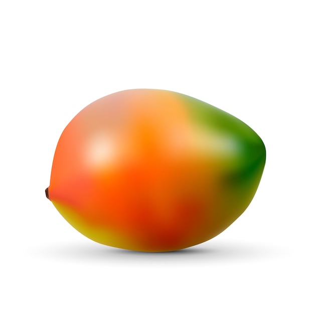 Realistic mango isolated on white