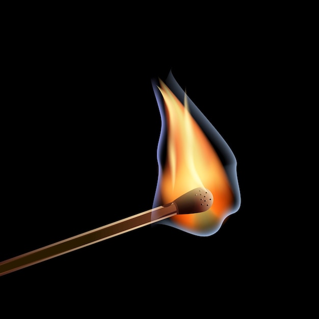 Realistic Match Stick Flame in fire