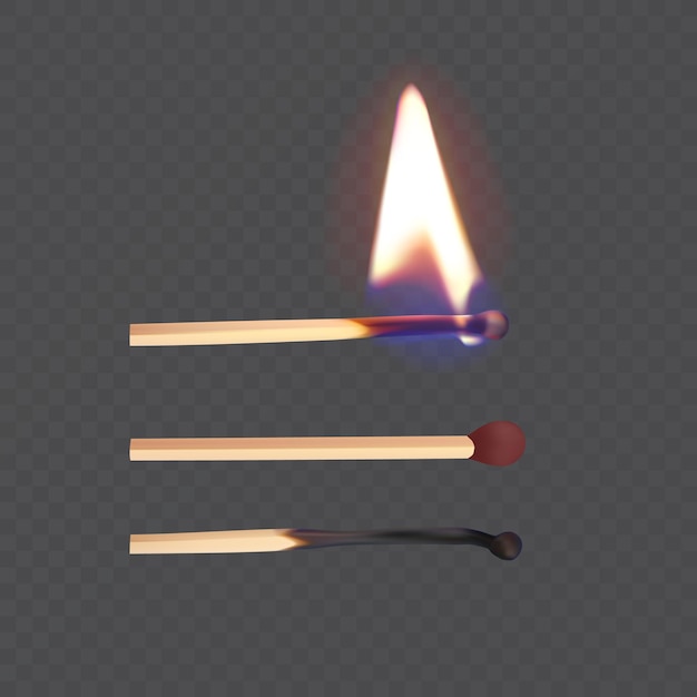 Vector realistic match stick and flame match icon set closeup isolated whole and burnt matchstick