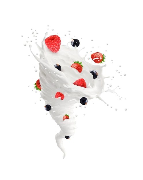 Realistic milk tornado splash with berries for yogurt or milky drink vector background Strawberry raspberry and blackcurrant berries mix in milk tornado swirl or splash twirl with drops splatter