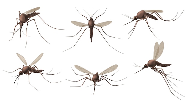 Реалистичный набор комаров