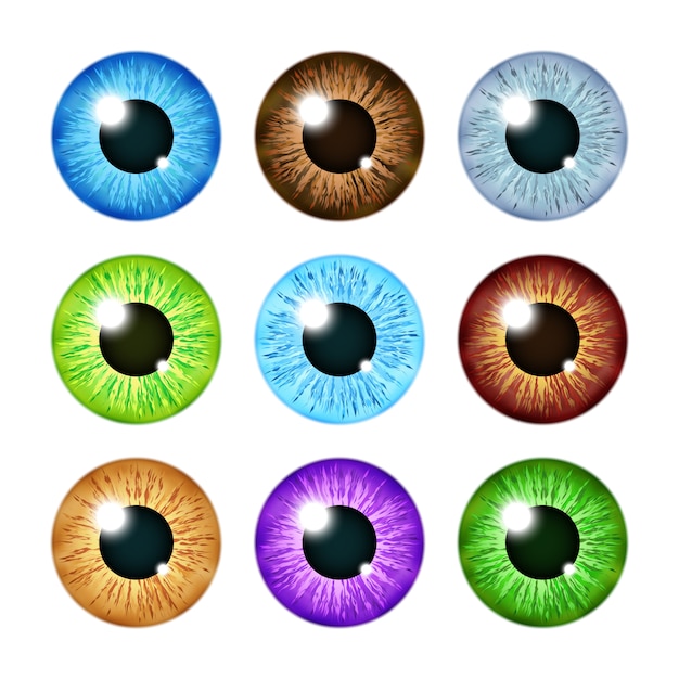 Vector realistic multi colored eyeball iris pupils set