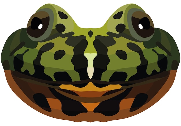 Realistic muzzle of firebellied toad Portrait of a multicolored frog on a white background Vector graphics