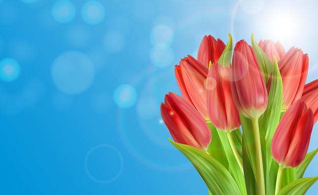 Realistic natural tulips flower background with sky