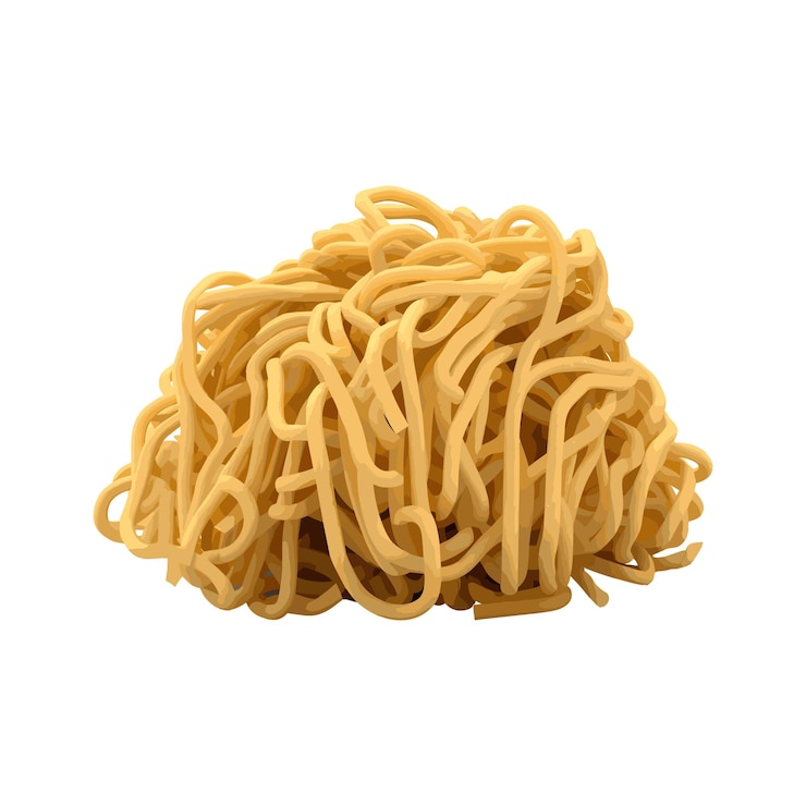 Vector realistic noodls vector art illustration